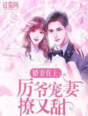 厉少宠妻忙