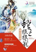 逆天小毒妃南宫离txt